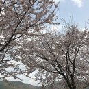 낙원요양원 | 김해요양원 추천 어르신들의 진정한 낙원, 덕인노인전문요양원 방문기