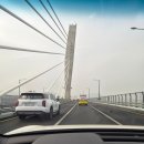 카레이서 | <인천 영종도> 애견동반이 가능한 대형카페 "폴프랭크카페 영종점" 후기