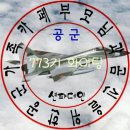 517포대