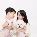 포마이티니