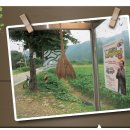 아, 이 강을 잃어버릴 뻔하다니 - 영월 동강 이미지