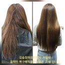 kim's home | 미용사들 중에서 눈치 빠르고 진짜를 볼 수 있어야 선택하게 되는 올레틴 복구 매직 클리닉(펌)