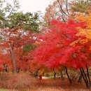 코타투어 - 하남시 미사대로 540 | 코타투어
