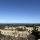 그린가든 | 일본 골프여행 추천｜가고시마 가든CC 코스·그린 상태 솔직 후기