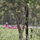 4월 18일(금) 어제 &#39;서울숲&#39;에 다녀와서 쓰는 글 이미지