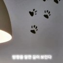 더블유엠마케팅