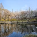 이마트24 아산호서대점