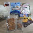 야탑서울동물병원 이미지