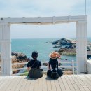 몰운대성당 | 부산 태종태 수국축제, 기장죽성성당, 다대포 일몰놀이까지