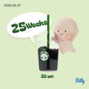 25주~27주 임신중기 쌍둥이 임산부 일상 | 쌍둥이 패밀리카 계약완료, 자궁경부 짧아짐, 백일해 주사