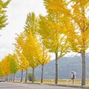 군도7호 이미지