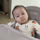 삼동이형과 함께하는 첫 여행 💗 (with 8살 , 9개월아기의 기록)