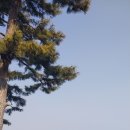 충청수영성 이미지