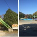 매화관광농원캠핑장 이미지