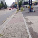 탄벌동-5 이미지