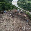 시넬 이미지