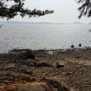 태안별빛오토캠핑장 이미지