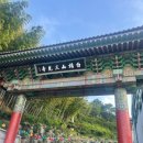 부산 삼광사 연등축제 후기, 대중교통·주차·연등 점등시간 정리