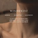 탈모샴푸 추천, 오윈더 헴프 헤븐 샴푸&amp;애플 글루타 브라이트닝 바디워시 세트 리얼후기