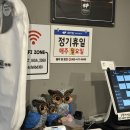 정한2 | 군산 삼겹살 맛집 추천! 숯불 향 가득한 군산 정한식당 모둠 중 사이즈 솔직 후기