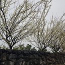 서호호근로 이미지