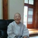 총림사아이숲유치원 이미지