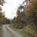 이화산등산로 이미지