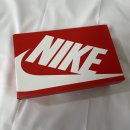 로우코스트 | [신발] 나이키 덩크 로우 코스트 상세후기