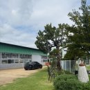 펫119 | [양산 애견운동장] 퍼스펫가든