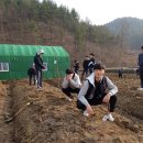 희망나무심기2 이미지