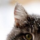 뚱땅뚱땅 이미지