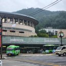 [오후N] 왕초보도 할 수 있다- 수채화로 꽃 그림 그리기 | [ 전시회 ] 마르크 샤갈 특별전 'MARC CHAGALL beyond time' 전시회 관람 후기