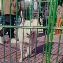 창진농장 이미지