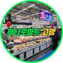 일산 하나로마트 고양점 방문후기