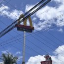 펫블리강아지&미라클고양이 | 보홀 팡라오ㅣ보홀 숙소 케틀레야 리조트 Cattleya Resort And Restaurant 2박 후기