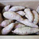 시골친척 이미지