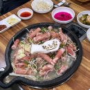 백조품은오리 이미지