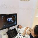 정상메디칼 이미지