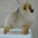 스테이 모량 이미지