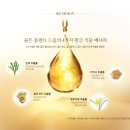 제이제이블레스 | 이연희 오일 아이오페 골든 글로우 페이스 오일로 황금피부 만들기
