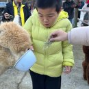 손병호농장 이미지