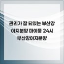 부산강아지분양 마이뭉 24시 | 관리가 잘 되있는 부산강아지분양 마이뭉 24시 부산강아지분양
