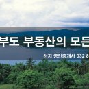 천지공인중개사사무소 이미지
