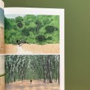 에이마인드 이미지