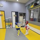 하나린태권도장 이미지