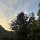 궁전음식점 | Day 2 [비엔나패스, 쇤부른궁전, Labstelle, 비엔나 미슐랭가이드 음식점, 런치코스 후기, 슈테판대성당...