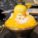 더좋은과일&찡오언니 | 심학산 카페 디저트 파주 애견동반 과일의숲 망고빙수 맛집 주차