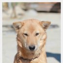 용순농장 이미지