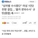 쁘띠애견 이미지