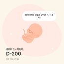 완산-170 | 12주차 성별확인 장꾸맘 홍이맘 앵글이 정확도/전주 광주 니프티 NIPT 가격비교/현대해상 태아보험 후기)